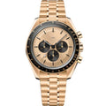 Moonwatch Professional Co-Axial Master Chronometer